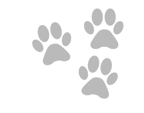 Öykü Veteriner Kliniği