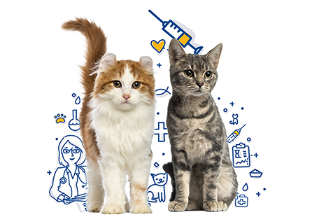 Öykü Veteriner Kliniği